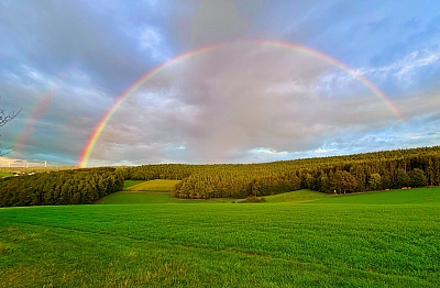 Regenbogen über grüner Wiese mit Wald und wolkigem Himmel