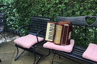 Ein Akkordeon auf einer Gartenbank im Grünen