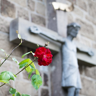 Rose und Kreuz Rose und Kreuz