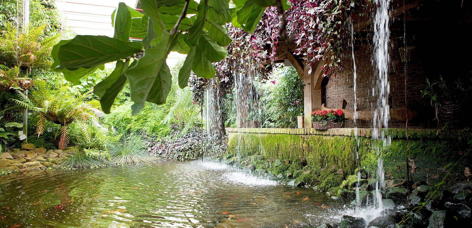 Halbtagesfahrt nach Emsflower